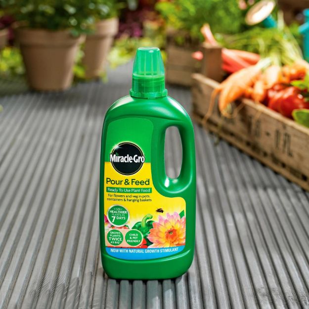 Picture of MIRACLE-GRO POUR & FEED PLANT FOOD 1L