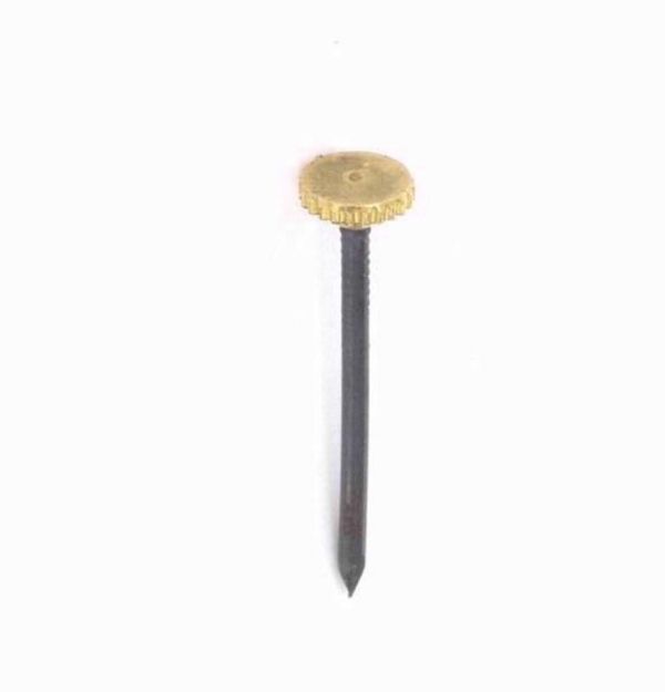 Picture of SECURIT BRASS HEADED PICTURE PINS