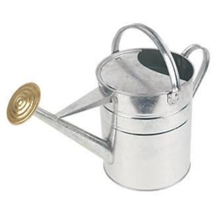 Picture of ASHTOWN GALVANISED WATERING CAN 9L